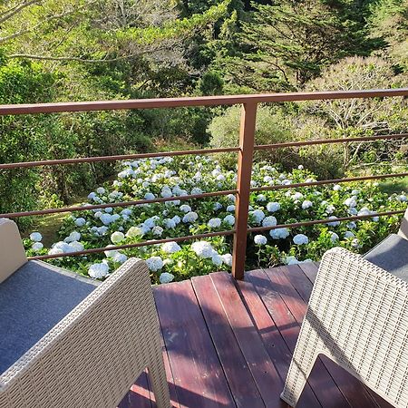 Quinta Esencia Villa Alajuela Eksteriør billede