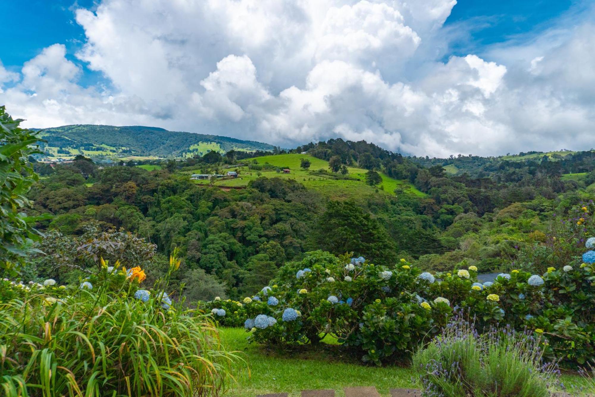 Quinta Esencia Villa Alajuela Eksteriør billede