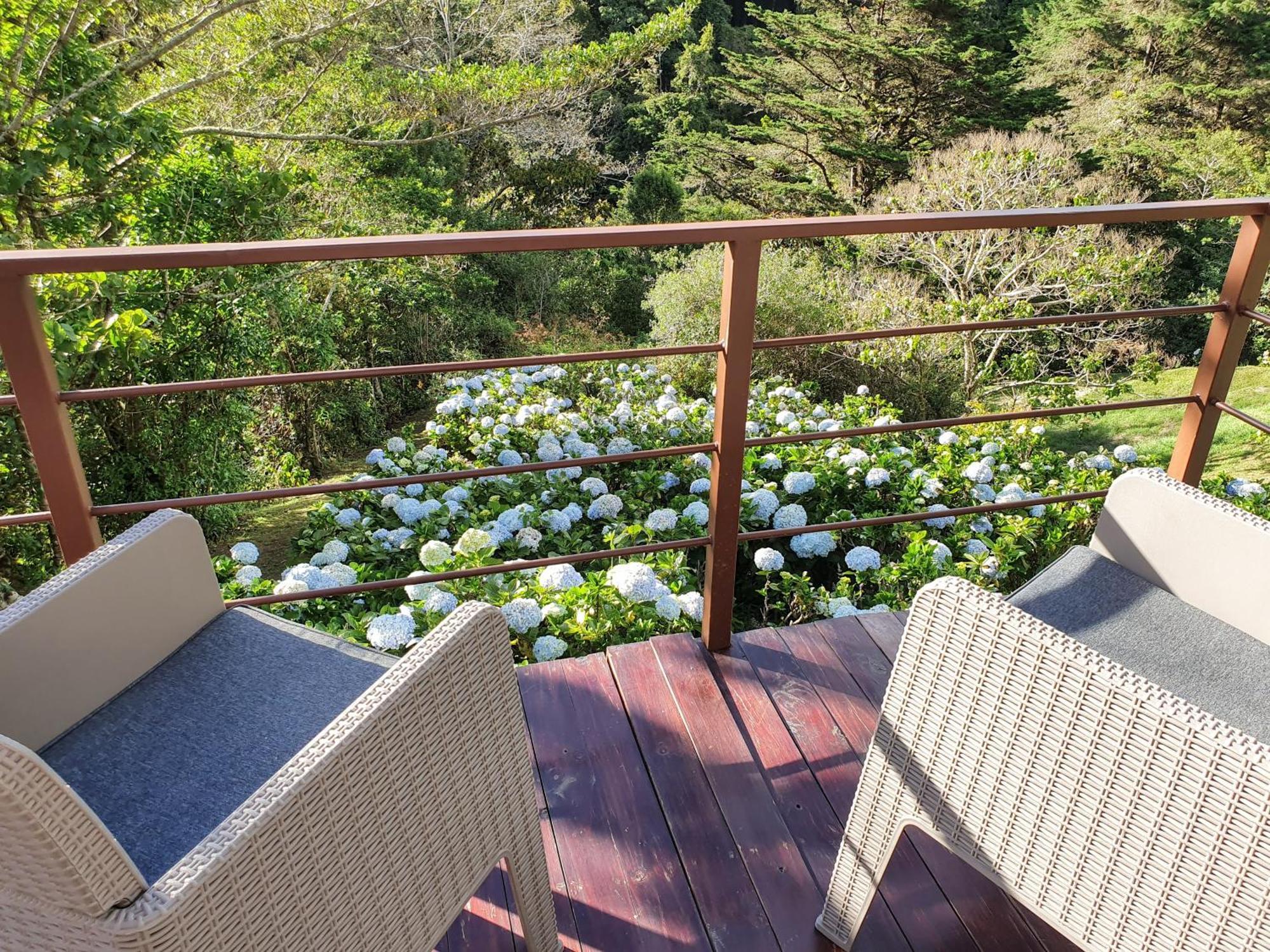 Quinta Esencia Villa Alajuela Eksteriør billede