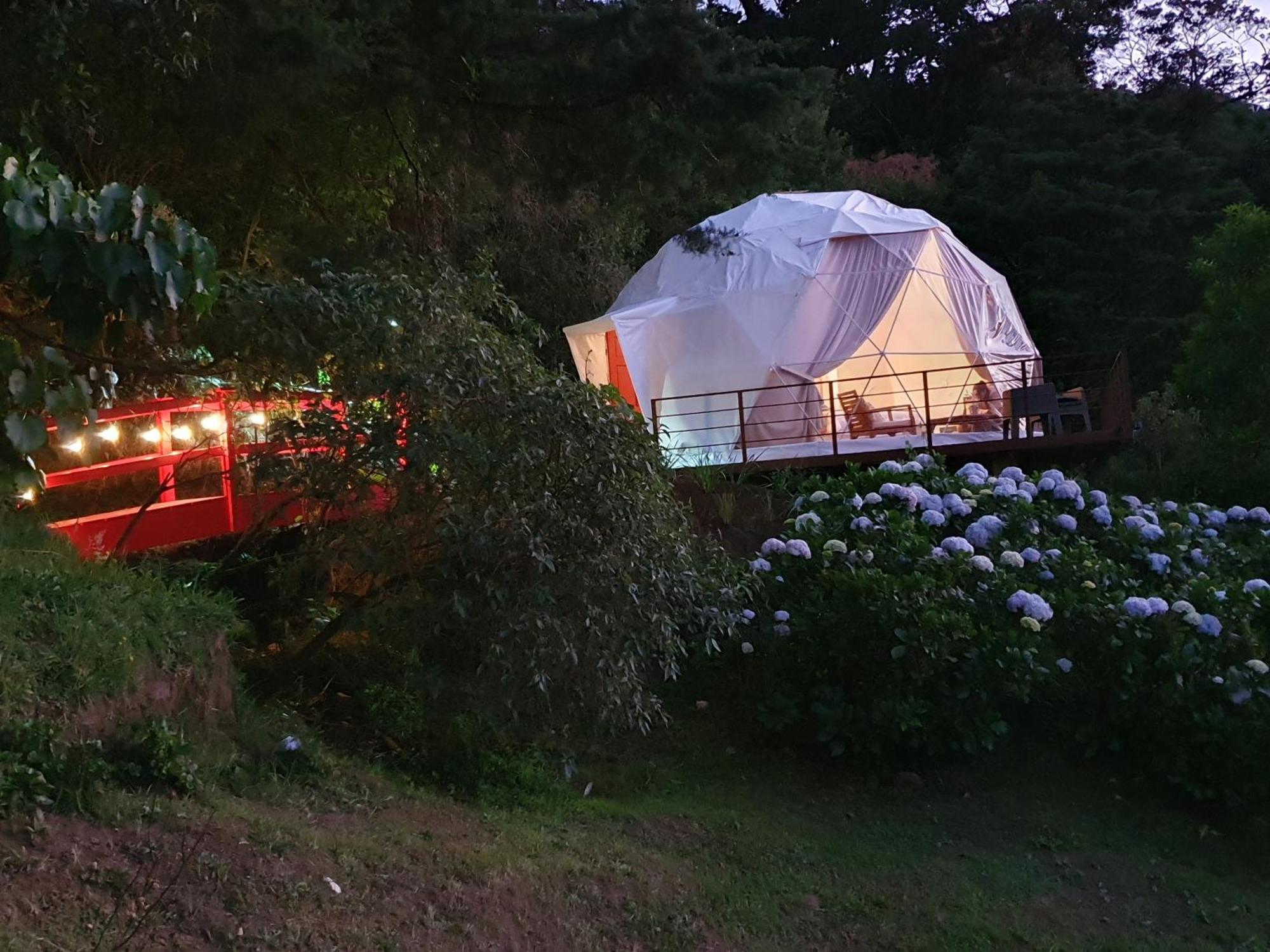 Quinta Esencia Villa Alajuela Eksteriør billede