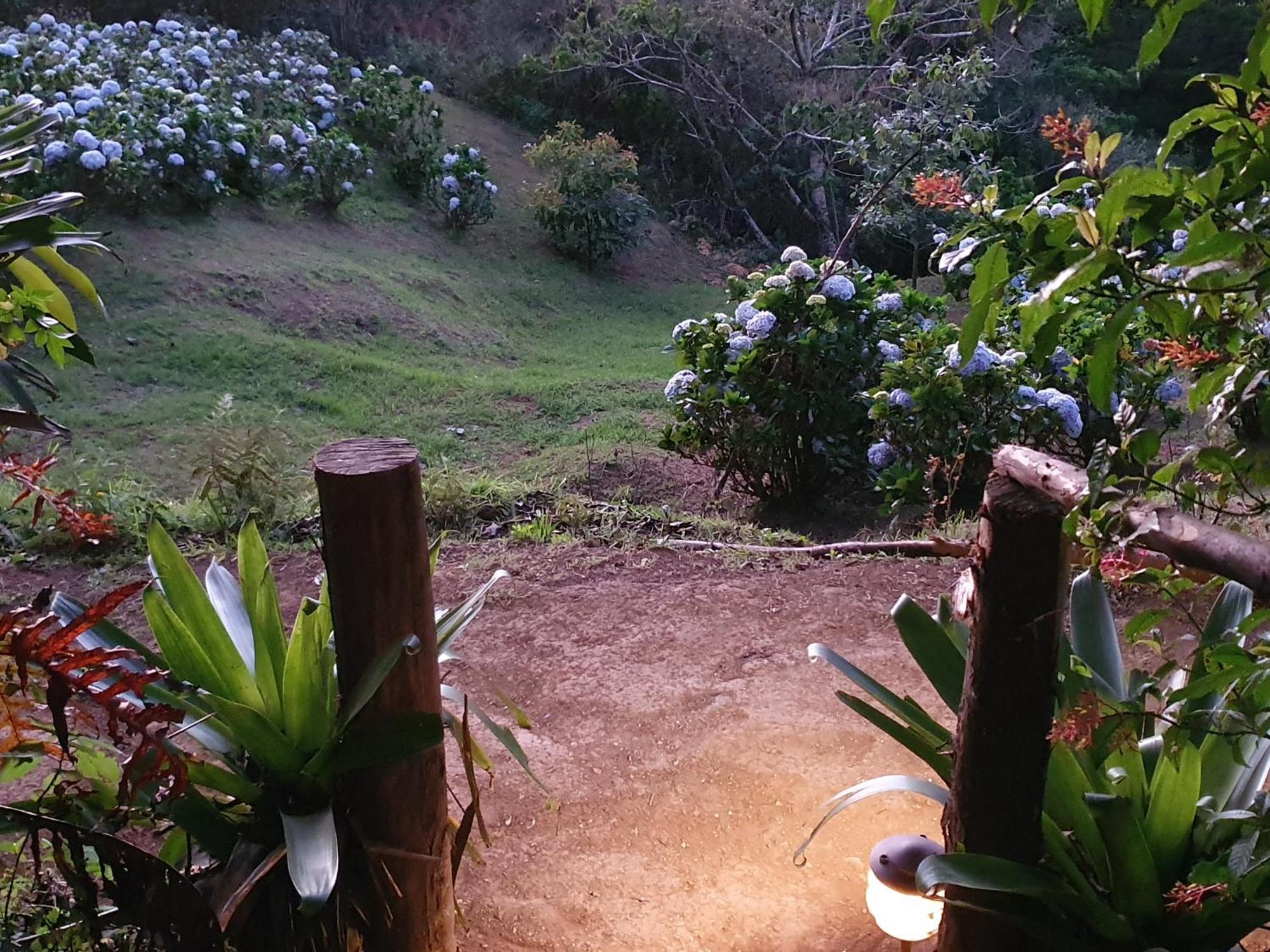Quinta Esencia Villa Alajuela Eksteriør billede