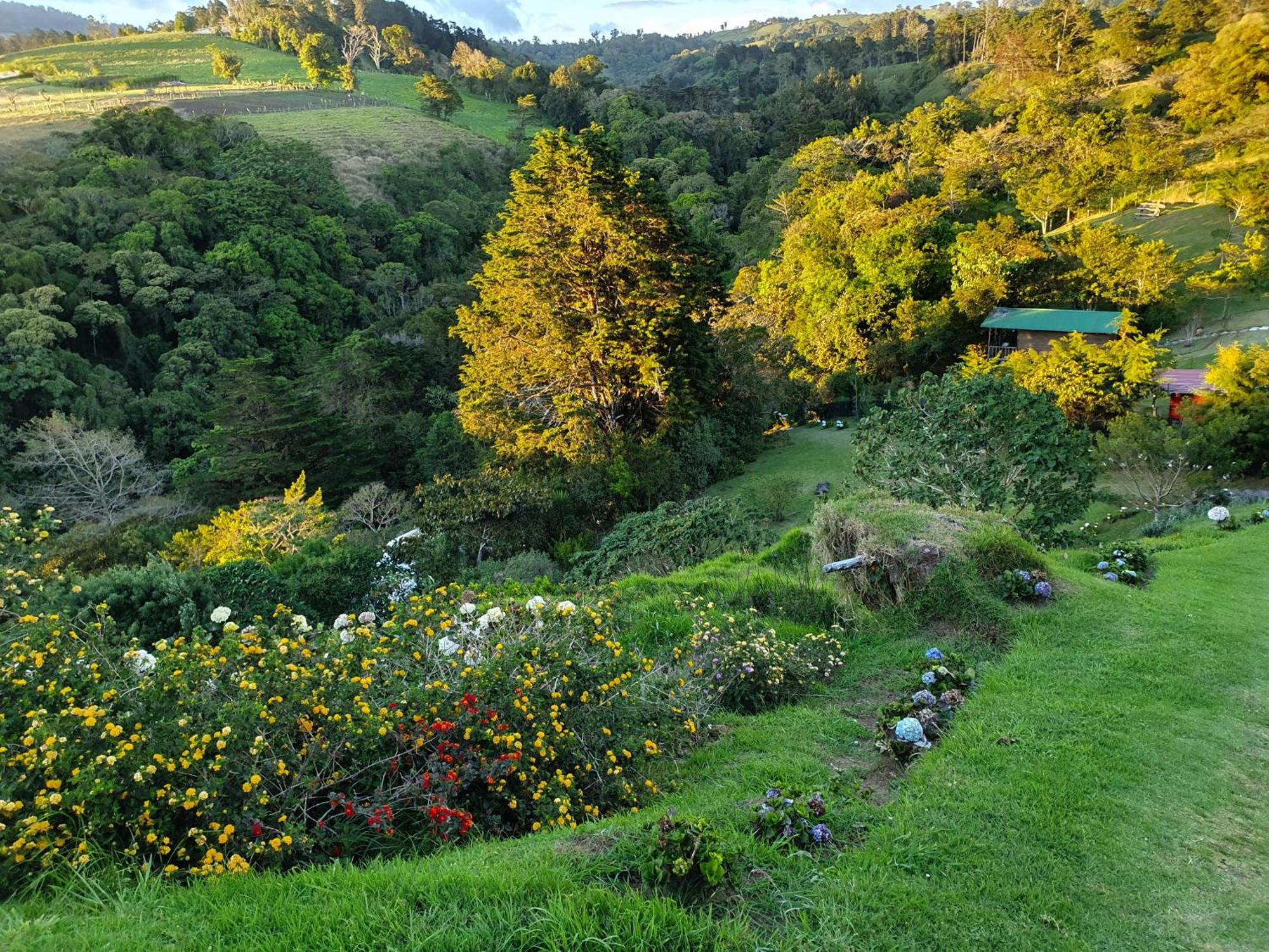 Quinta Esencia Villa Alajuela Eksteriør billede
