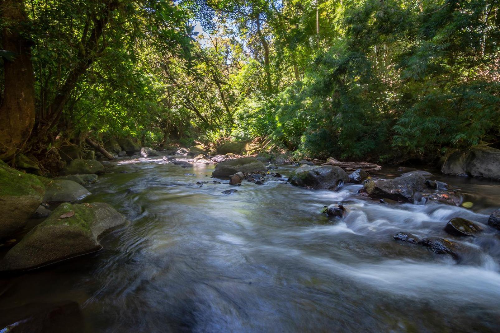 Quinta Esencia Villa Alajuela Eksteriør billede