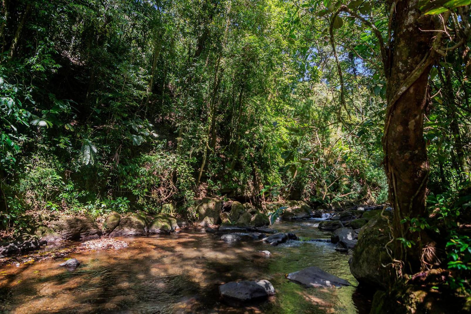 Quinta Esencia Villa Alajuela Eksteriør billede